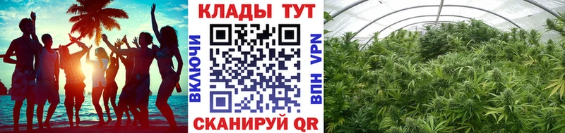 Где можно купить наркотики Волосово Конопля КОКАИН Гашиш Альфа ПВП Меф
