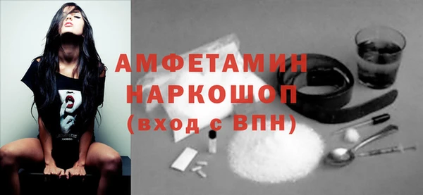 амф Протвино