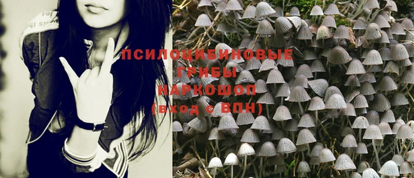 дмт Приозерск