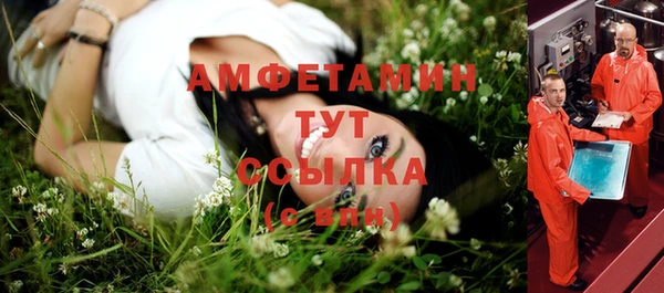 амф Протвино