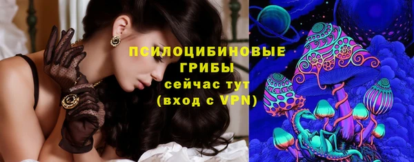 дмт Приозерск