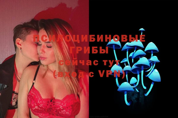 а пвп мука Данков