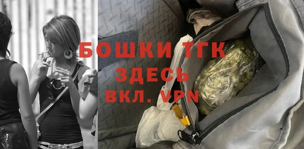 амф Протвино