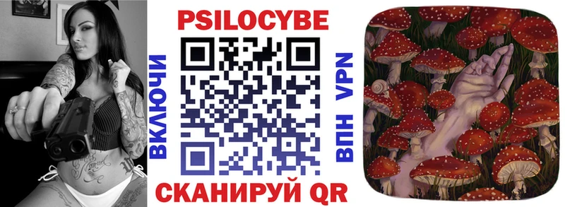Псилоцибиновые грибы Psilocybe  сколько стоит  Волосово 